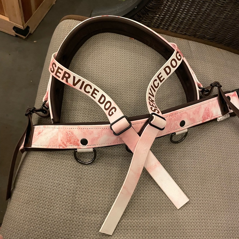 Used service dog harness